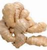 Ginger Extract